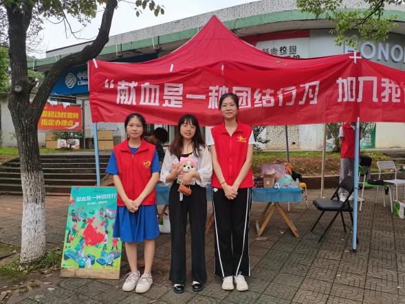  黑料不打烊
