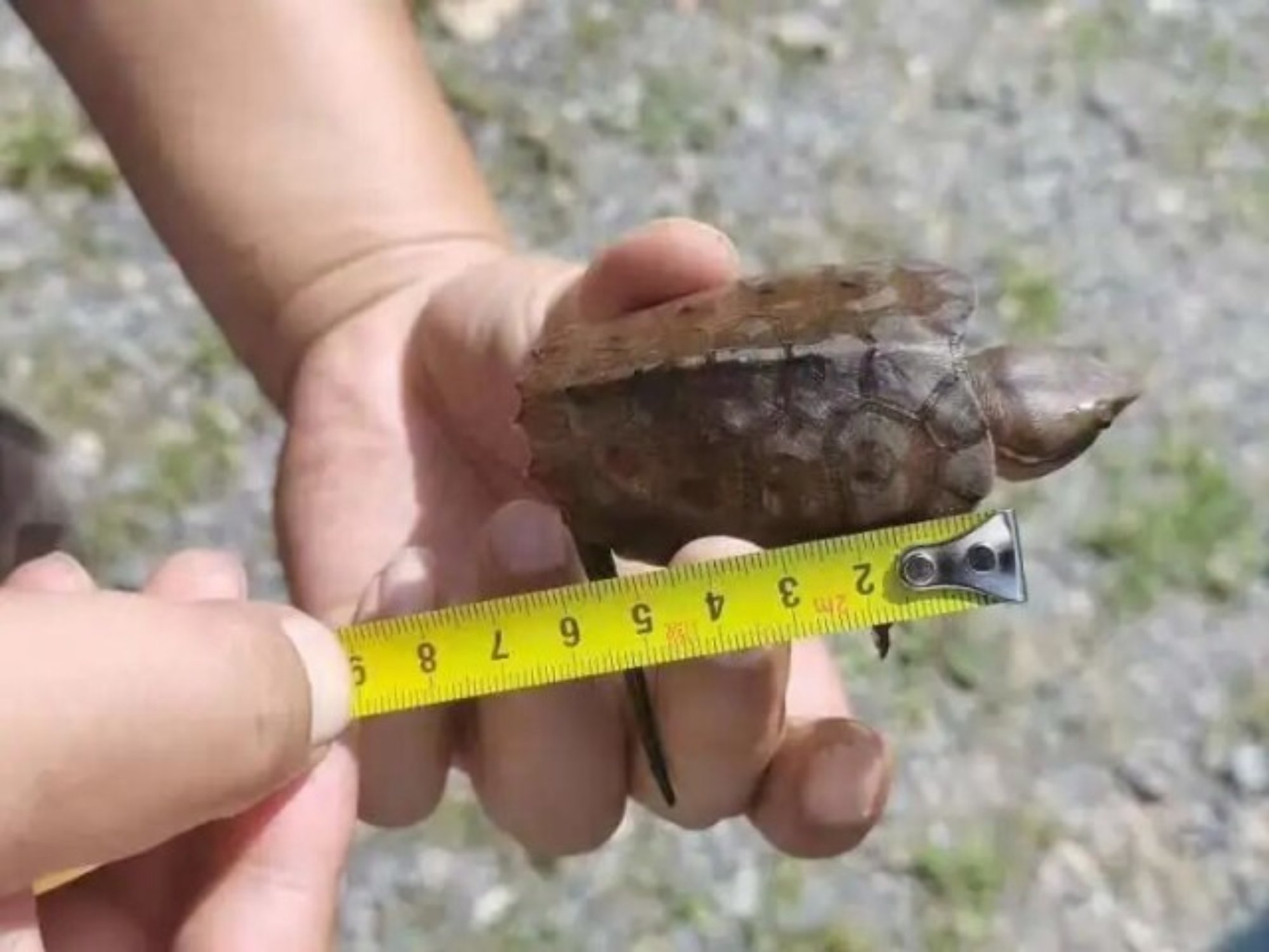  黑料不打烊
